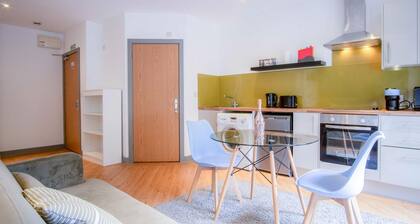 Princess Lofts 1 - 1 Bedroom Studio - Swansea