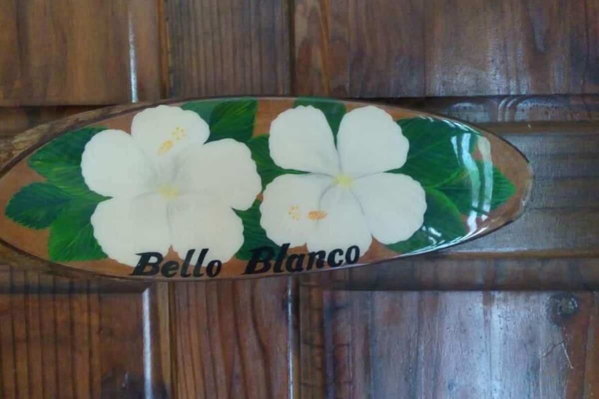 A wooden panel with a decorative plate featuring white flowers and the text "Bello Blanco".