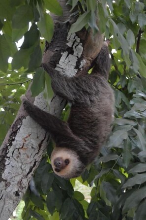 บริเวณภายนอก