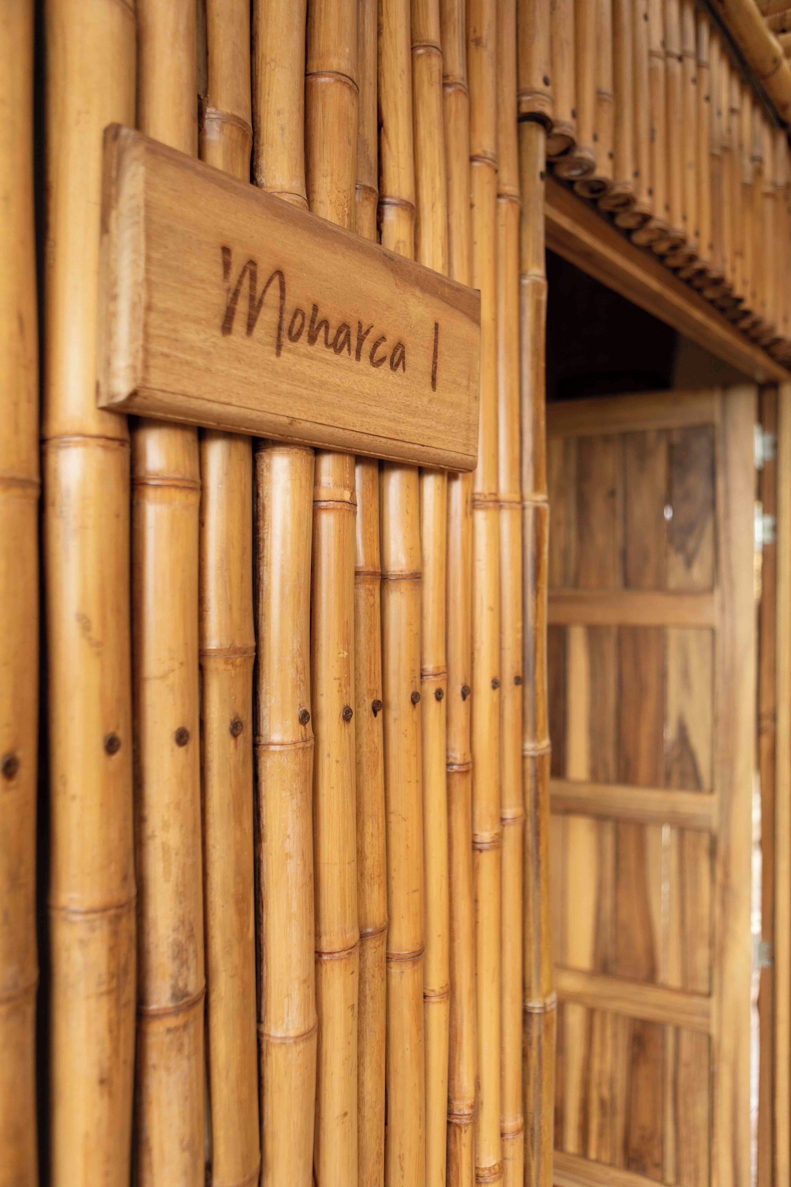 A bamboo wall with a sign reading "Monarca I".