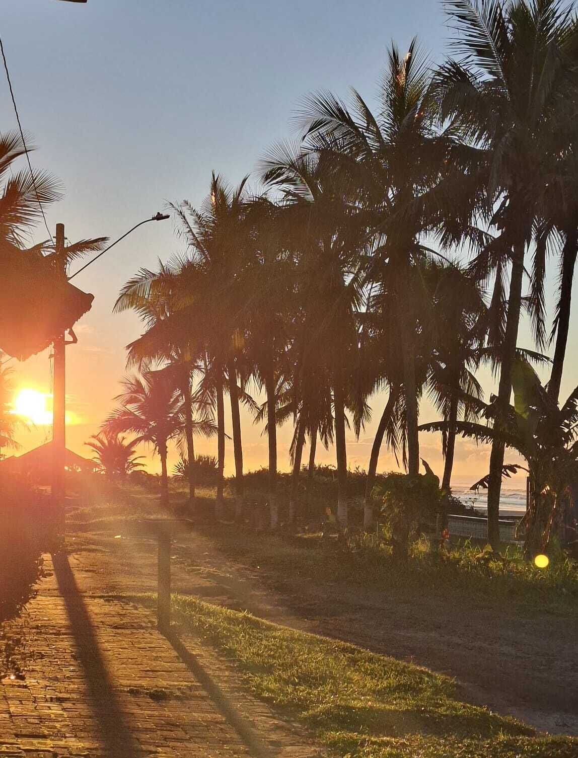 Uma trilha pavimentada bordeada por palmeiras e um poste de luz, que leva em direção ao pôr do sol.