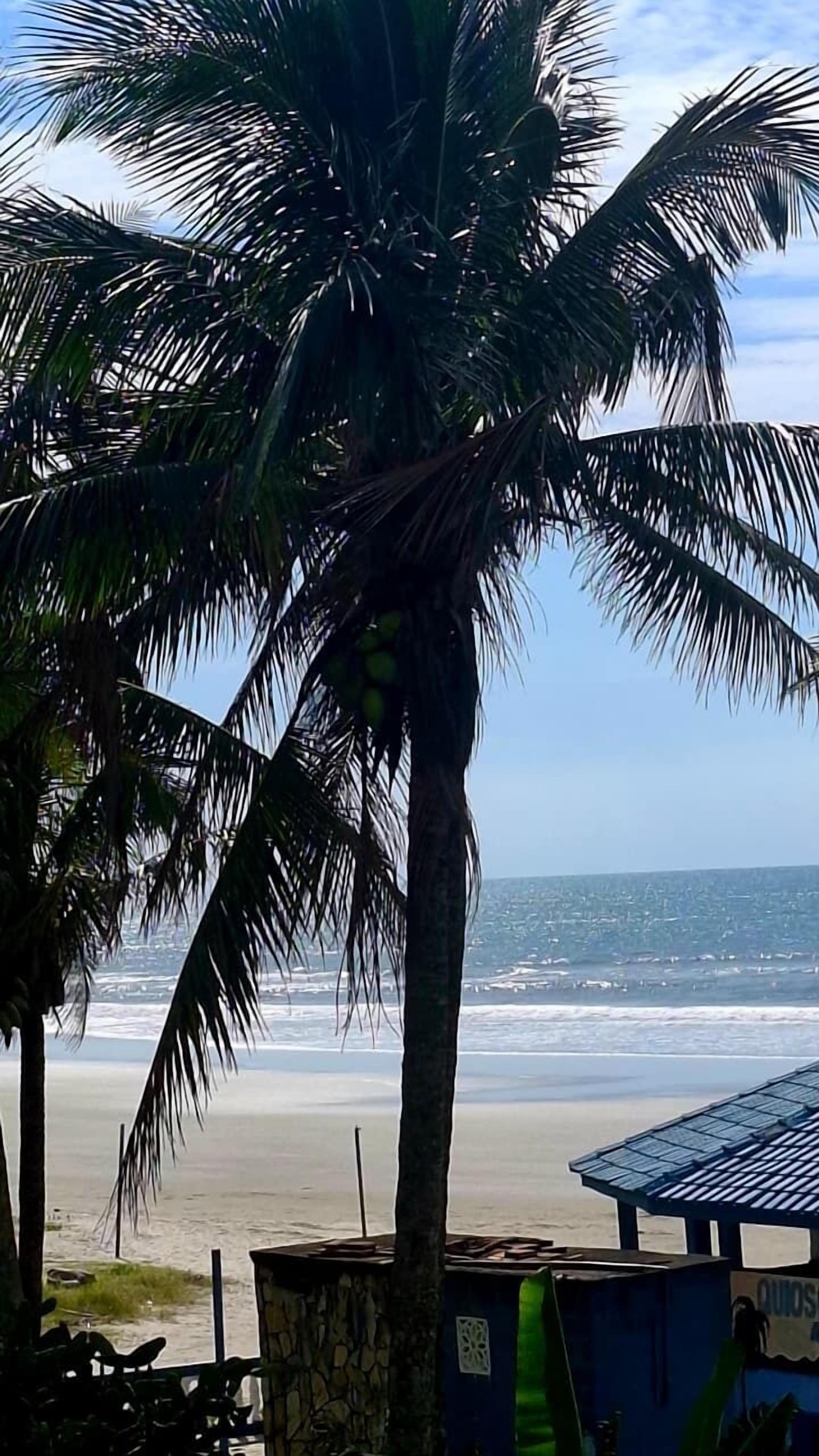 On the beach, white sand, 2 beach bars