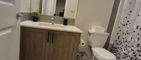 Hair dryer, towels, soap, toilet paper