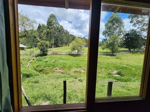 Interior - Peach tree house (Urubici)
