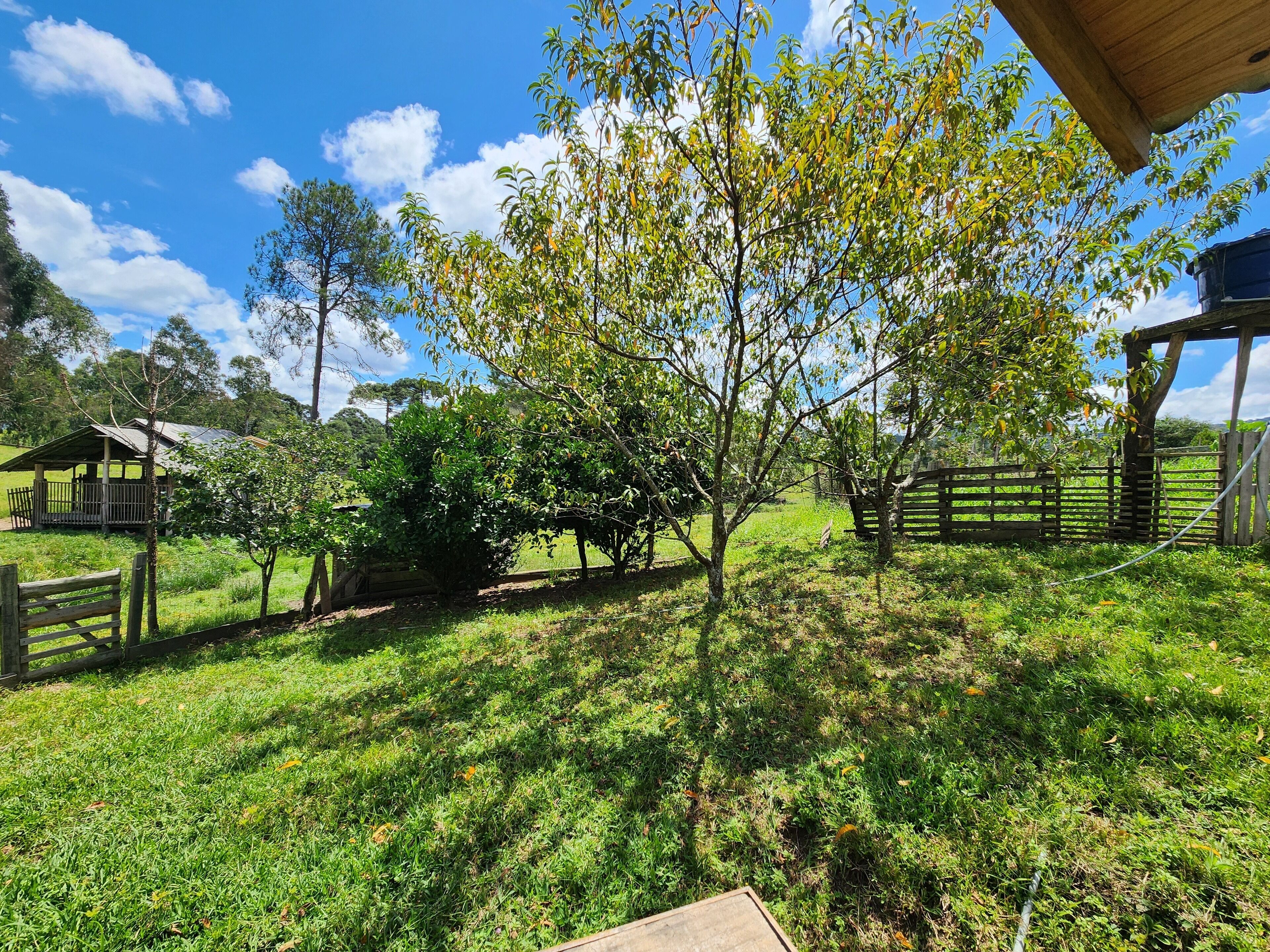 Área da propriedade