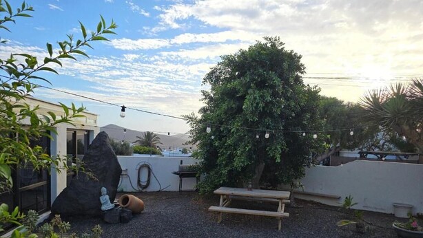 A patio area with a wooden bench, a large tree, and a rock sculpture. - Paradise Homes Lanzarote (Nazaret)