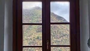 Una ventana con vistas a una ladera boscosa.