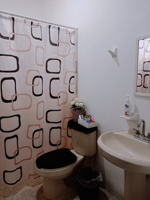 Hair dryer, towels, soap, toilet paper