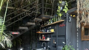 A bar area with a marble countertop, shelves with bottles, and hanging plants. - LA SELVA HOSTEL (Mexico City)