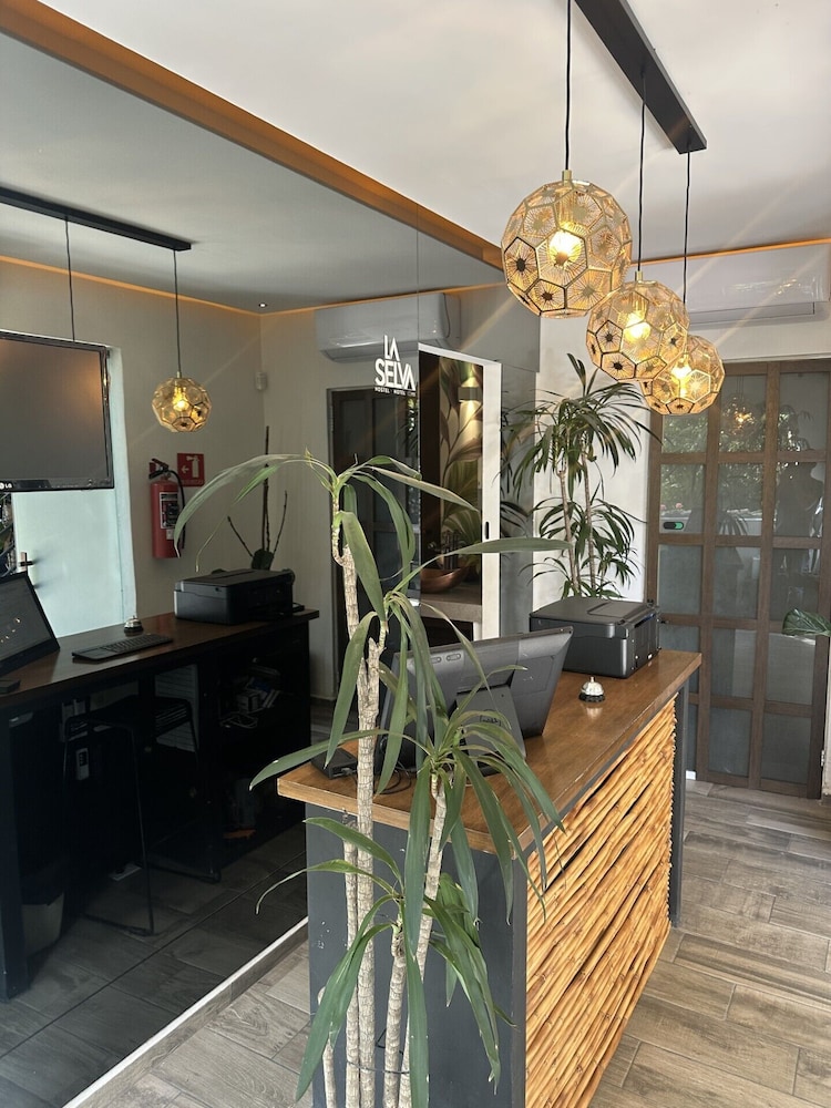La Selva Hostel - Ciudad de México