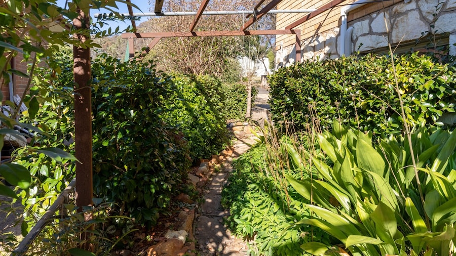 Restful Canberra Retreat in Spacious Terrace Home
