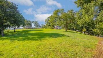 المنطقة المحيطة بالمنشأة