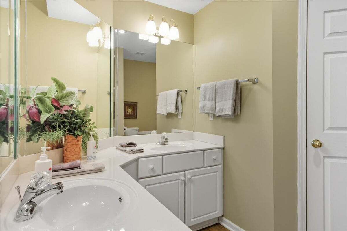 A bathroom with a white sink, a mirror, and a potted plant.