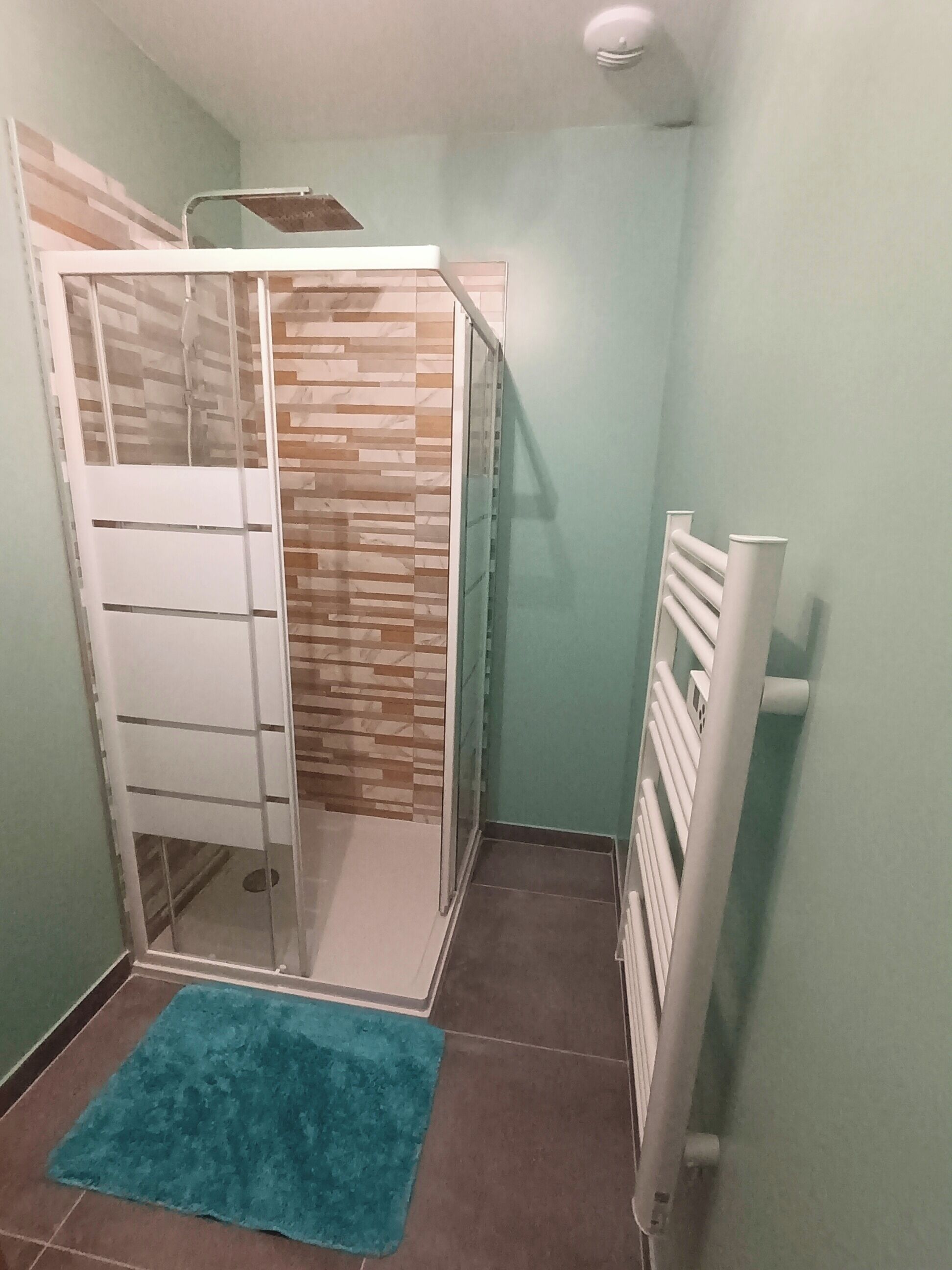 A bathroom with a shower enclosure, a towel rack, and a blue rug on the floor.