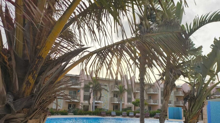 Marialva Tropical T1