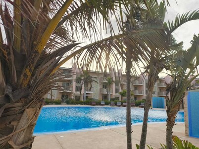 Marialva Tropical T1