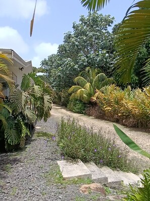 Terrain de l’hébergement 