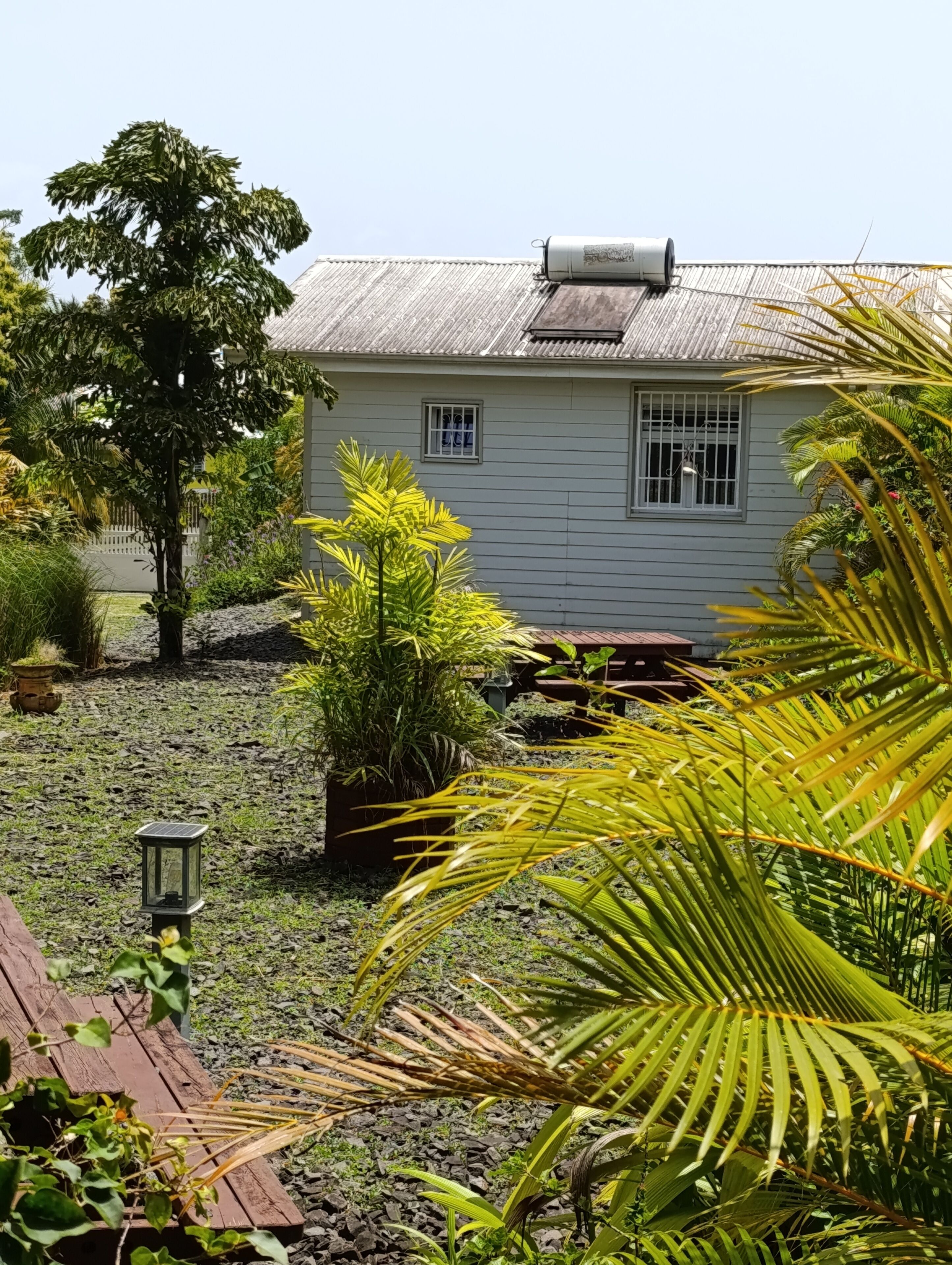 A house with a metal roof, a garden with various plants, and a solar-powered lantern.