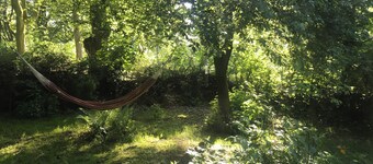 Vacation apartment "green island"