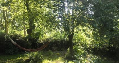 Vacation apartment "green island"