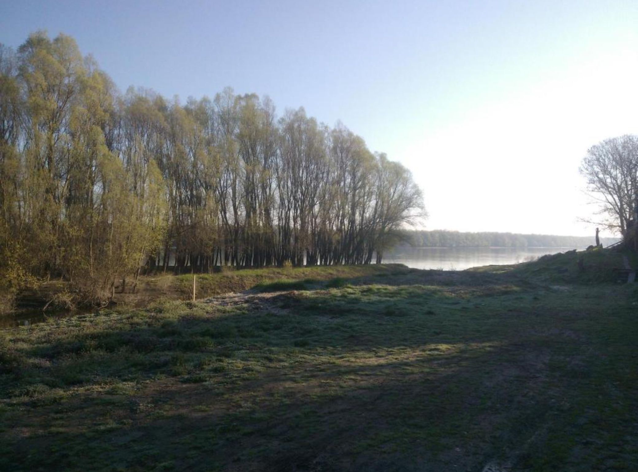 Un paisaje natural con una masa de agua, árboles y una zona cubierta de césped.