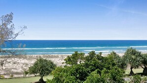 A beach view with trees and a clear sky. - Beachfront Studio With Balcony & Stunning Views (Gold Coast)