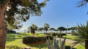 Un jardin aménagé avec différentes plantes et arbres, un ciel dégagé et une vue sur la mer.
