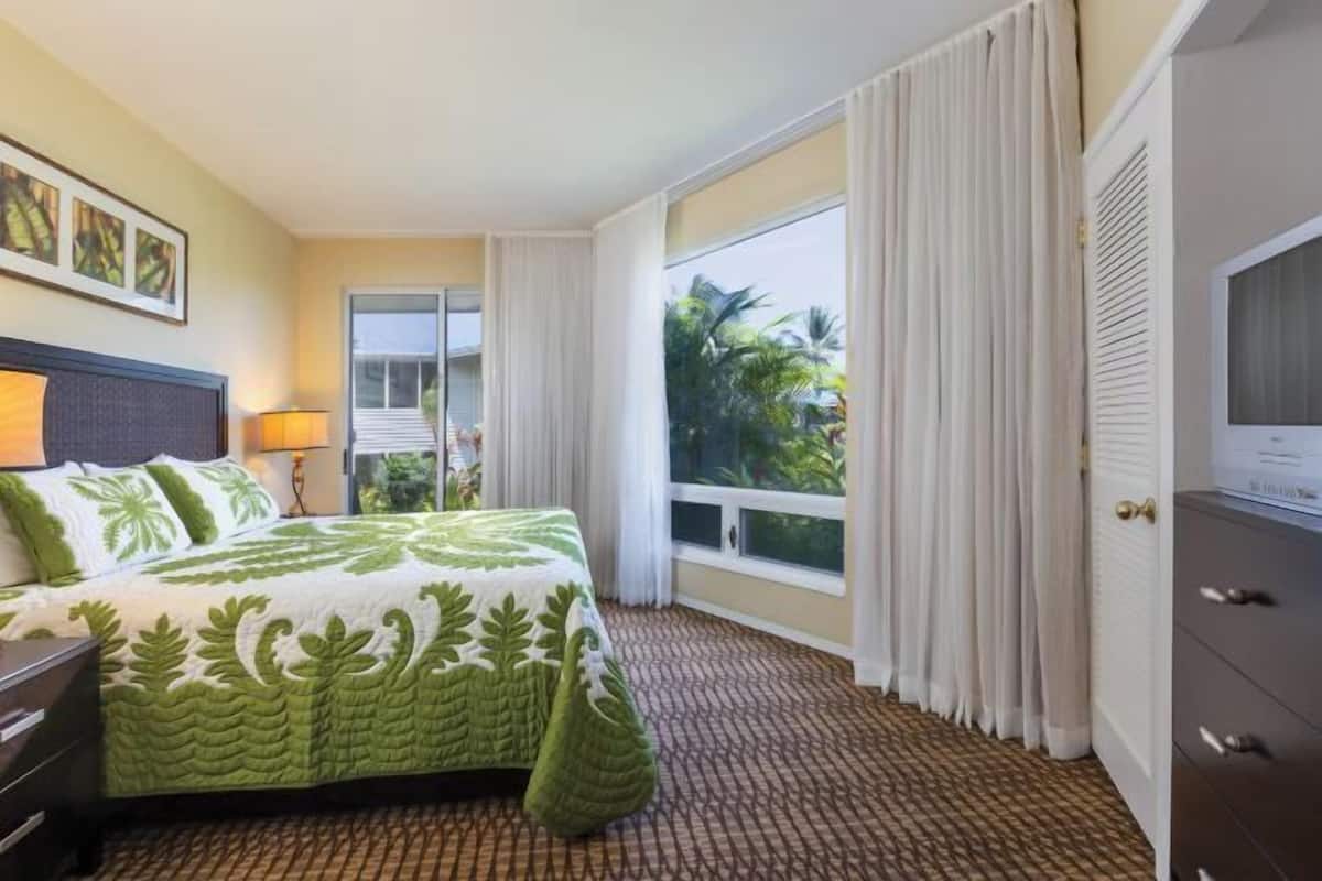 Habitación de hotel con cama, televisor, ventana con cortinas y vista a palmeras.