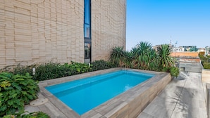 Une piscine rectangulaire dont le bord est revêtu de carreaux, entourée d’un jardin aménagé avec différentes plantes et arbustes.