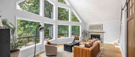 Smart TV, chimenea, libros y biblioteca musical