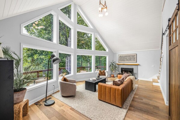 Smart TV, fireplace, books, music library