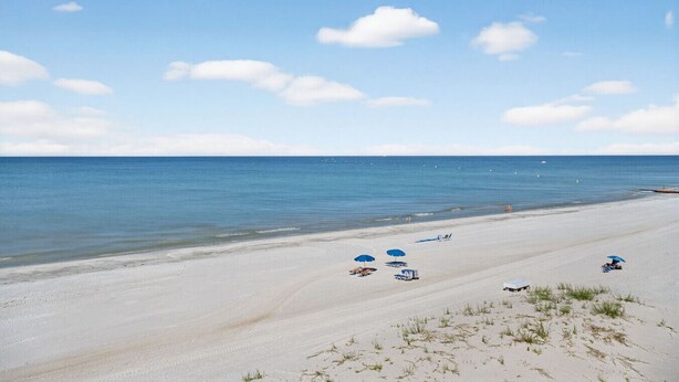 A beach with clear skies, calm waters, and a few umbrellas and lounge chairs. - Updated 2 bed 2 bath Beachfront Condo with Pool and Amazing Water Views (Indian Shores)