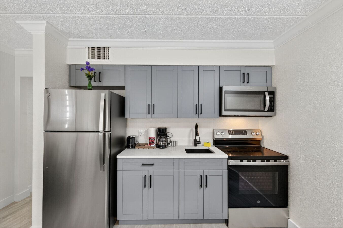 Kühlschrank, Mikrowelle, Ofen, Herdplatte