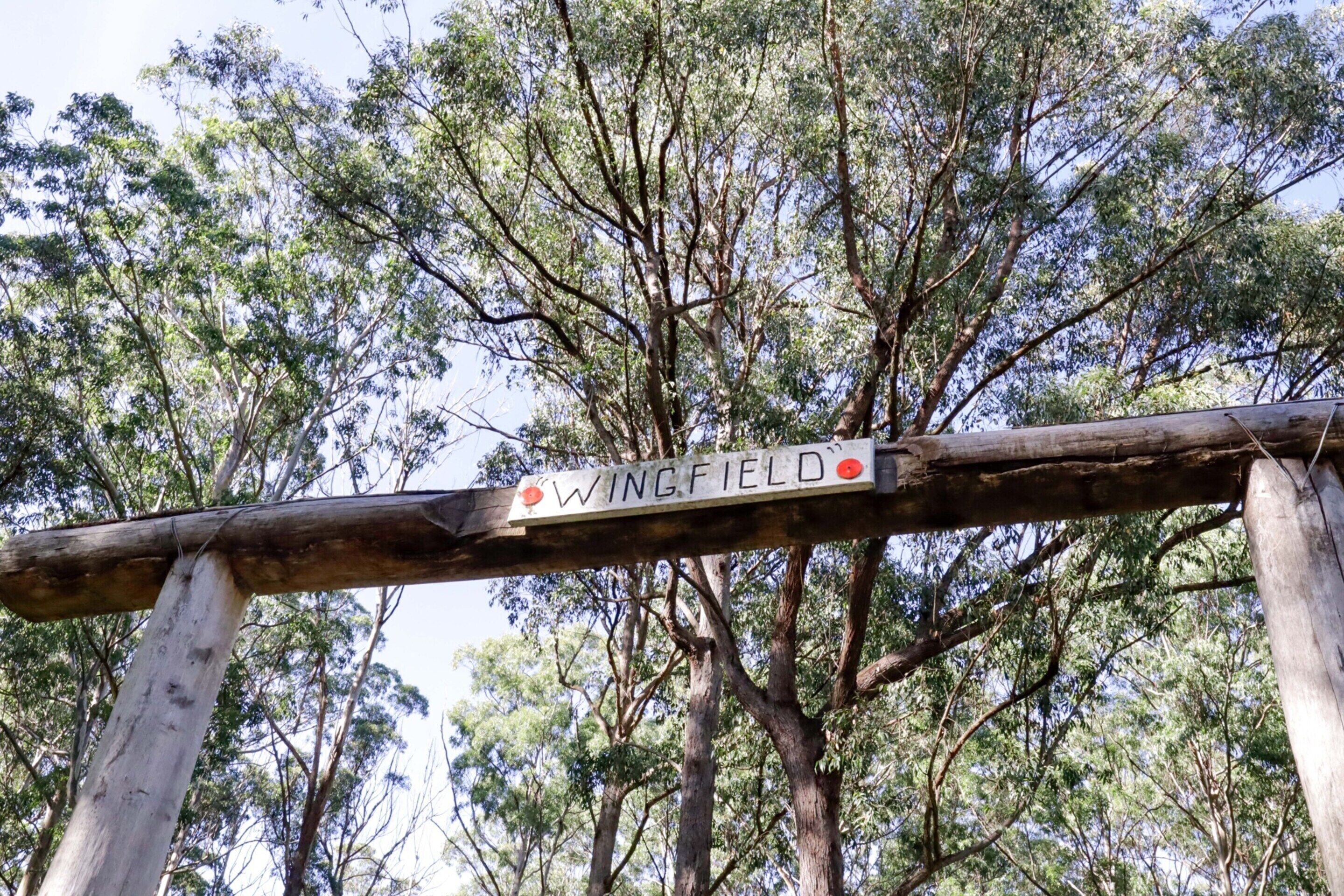 Apartment | Blick von der Unterkunft