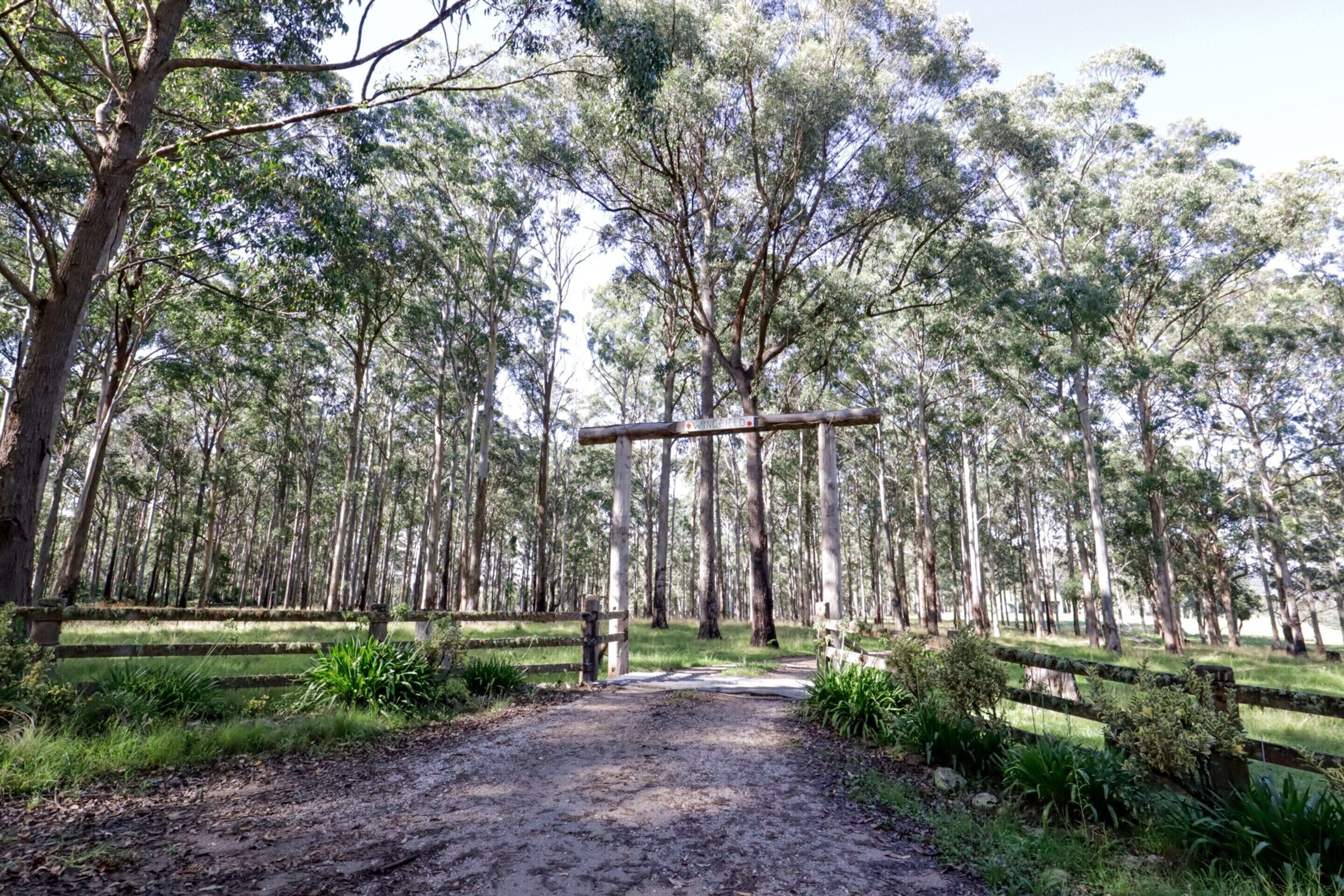 公寓 | 住宿景观