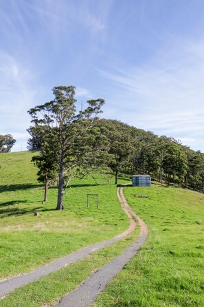 Departamento | Vista desde la propiedad