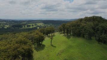 Apartment | Blick von der Unterkunft