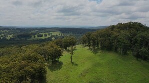 Apartment | View from property