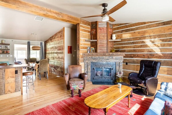 TV, fireplace, books