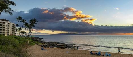 بالقرب من الشاطئ