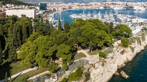 A coastal area with a marina, dense greenery, and a cityscape in the background. - Beachfront apartment with balcony and parking (Split)