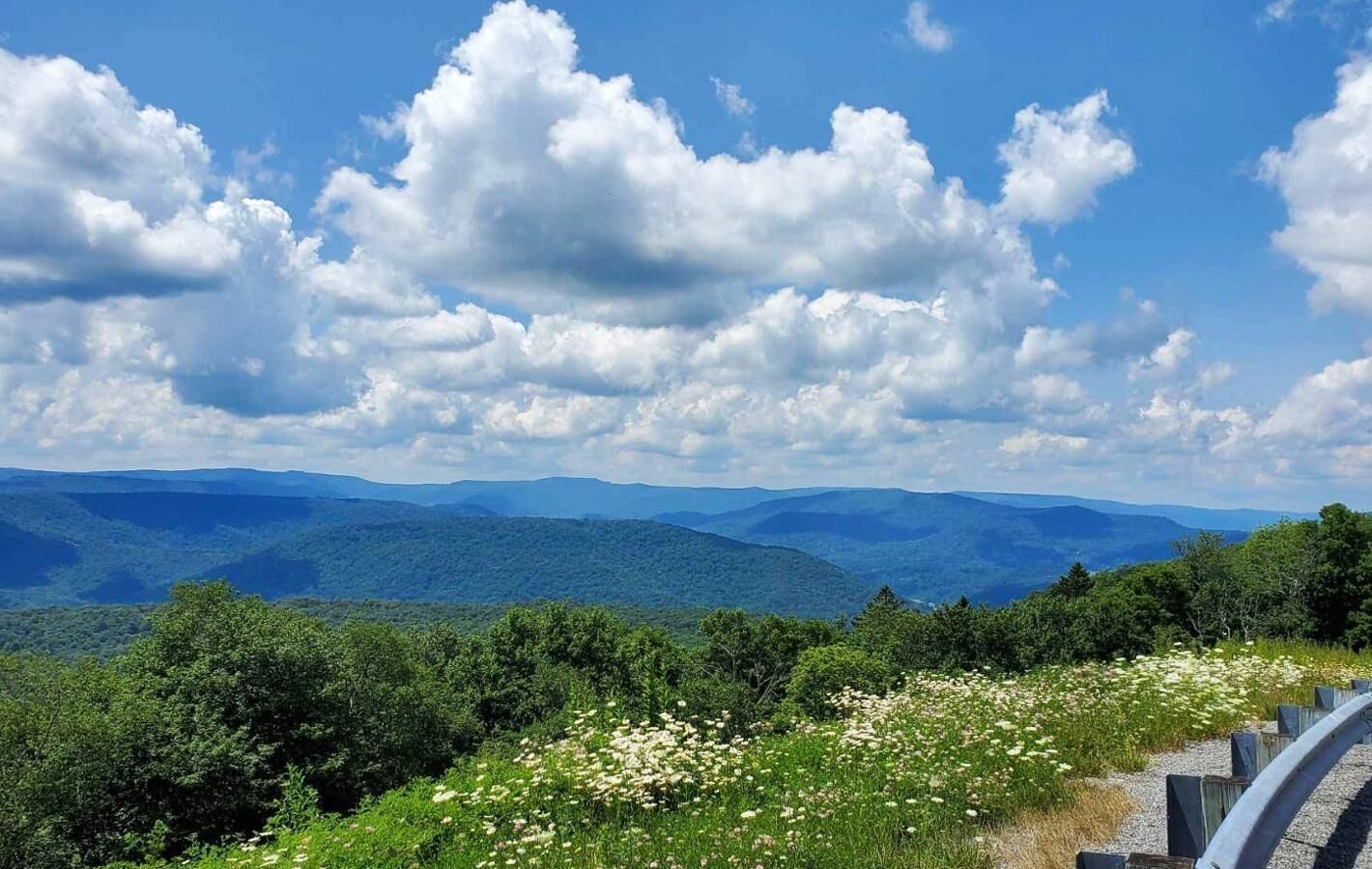 A scenic overlook with a view of distant mountains, a clear sky, and a path with wildflowers.