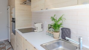 A modern kitchen with wooden cabinets, a stainless steel sink, and a potted plant. - VIVA Spacious 3 bedroom apartment (Porto)