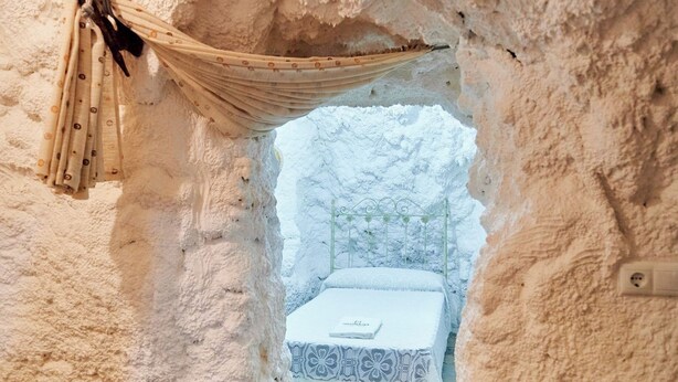 Une pièce confortable avec un lit, un rideau et une fenêtre donnant sur des arbres.