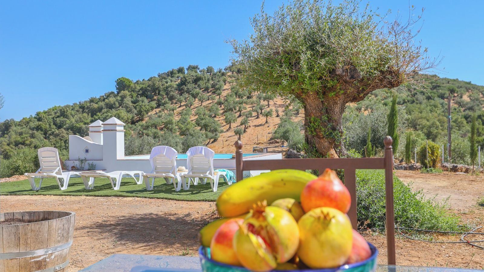 Jardines del alojamiento