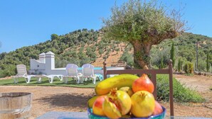 A villa with outdoor seating and a view of a hill. - La Era del Bonete Constantina by Ruralidays (Sevilla)