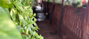 Pousada Berro do Bode