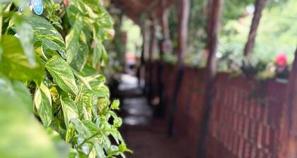 Pousada Berro do Bode