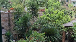 Un pati amb vegetació densa, incloent diverses plantes i arbres, envoltat d'edificis residencials.