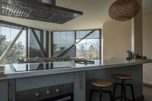 Superior Apartment, 2 Bedrooms | Private kitchen | Fridge, microwave, oven, stovetop - Apart Hotel Dresden (Santiago)